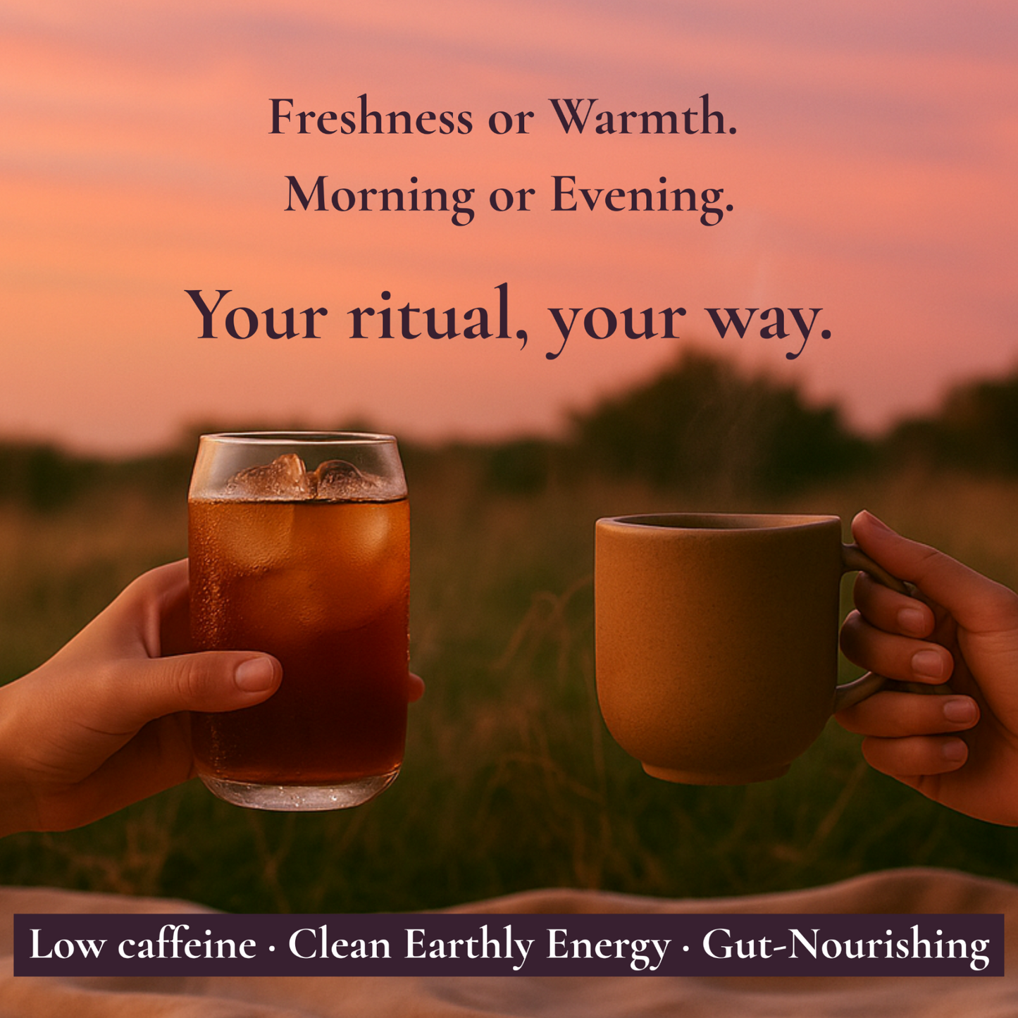 Biomi Yerba Magic™ – Gut & Energy Elixir